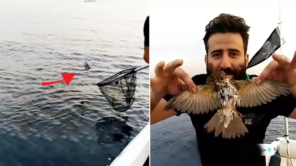 Un pescador captura un zorzal en vuelo con una sacadera de pesca