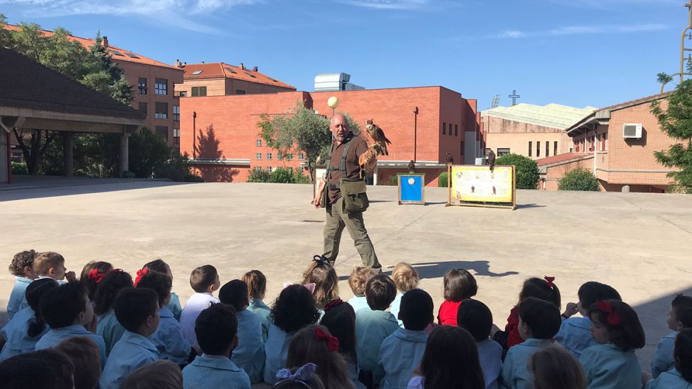 Más de 1.600 alumnos de nueve centros educativos de Castilla-La Mancha conocen el mundo de la cetrería