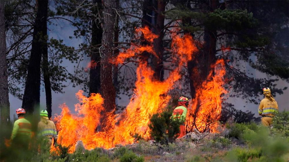 Los cotos afectados por el incendio de la Sierra de la Culebra obtendrán ayudas económicas por parte de la Federación de Caza de Castilla y León