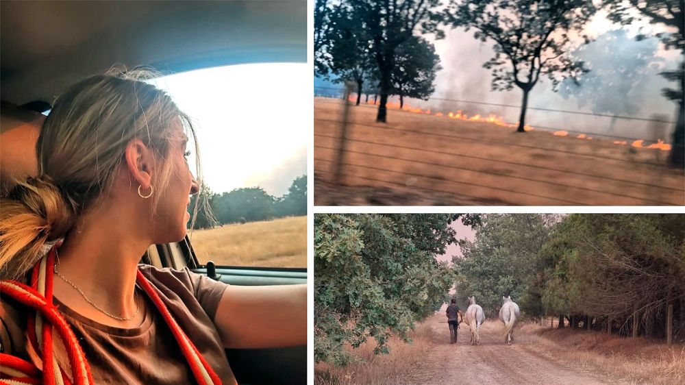 Una cazadora se juega la vida para rescatar a cinco caballos durante un incendio en Salamanca