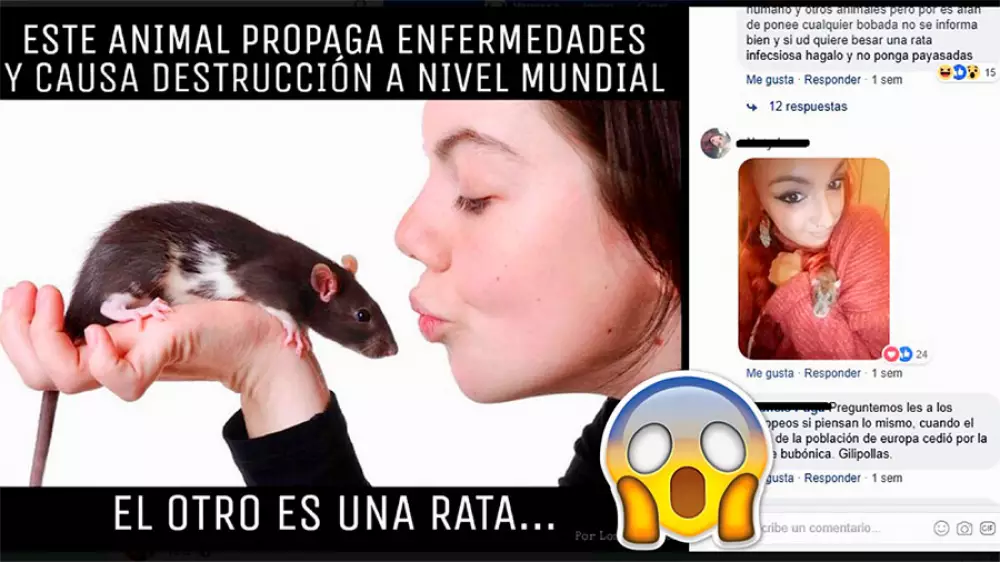   Animalistas