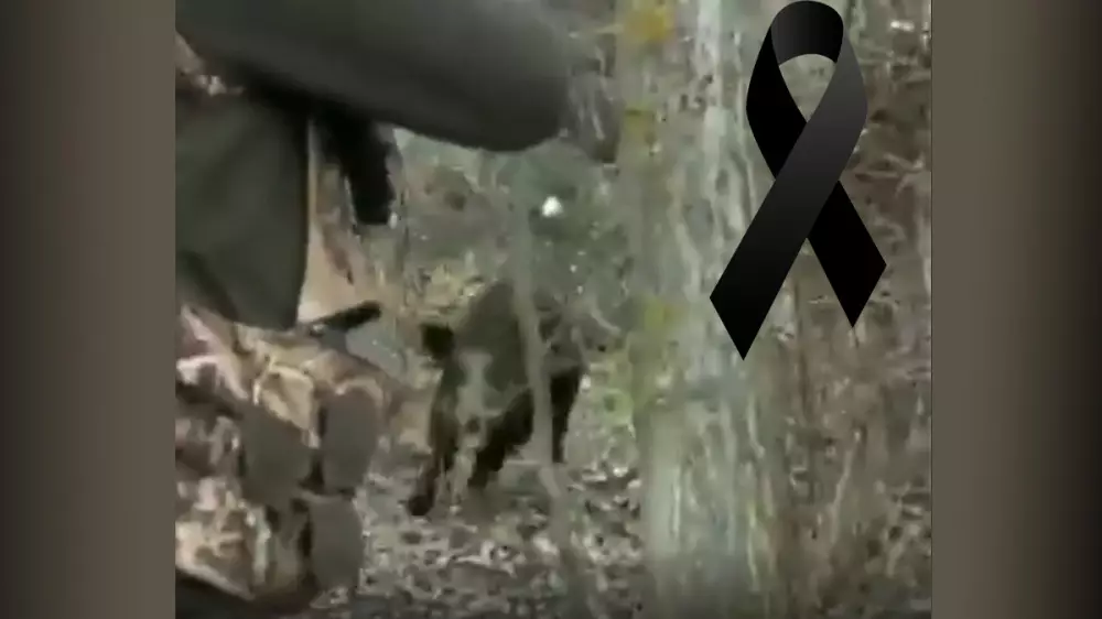 Un cazador de 71 años muere por infarto justo tras abatir un jabalí que intentó embestirle