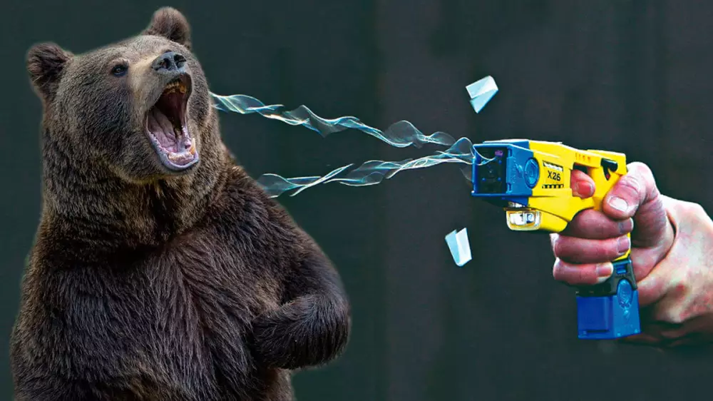 Un oso pardo ataca a un hombre que paseaba a su perro y repele el ataque con una pistola táser