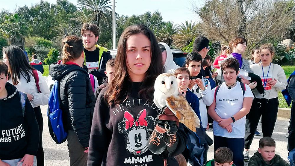 La cetrería llega a más de 800 niños andaluces