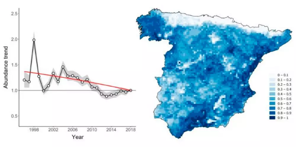 ¿De qué depende la abundancia y distribución de la tórtola europea en España?
