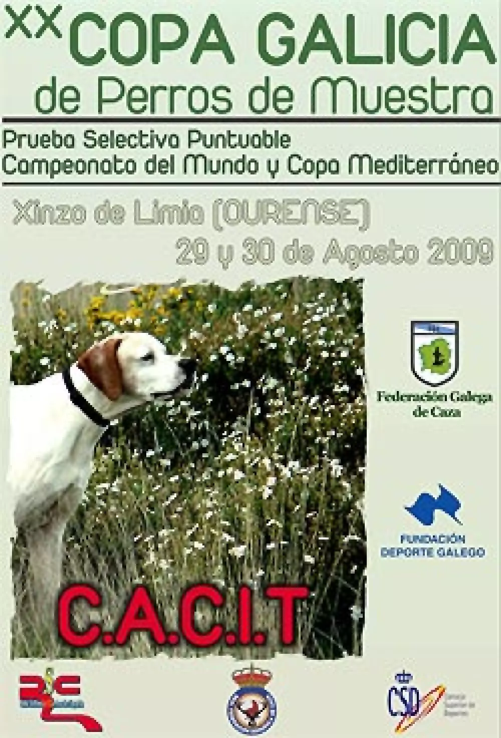 La Copa Galicia de Perros de Muestra será prueba selectiva puntuable para el Campeonato del Mundo y la Copa Mediterráneo