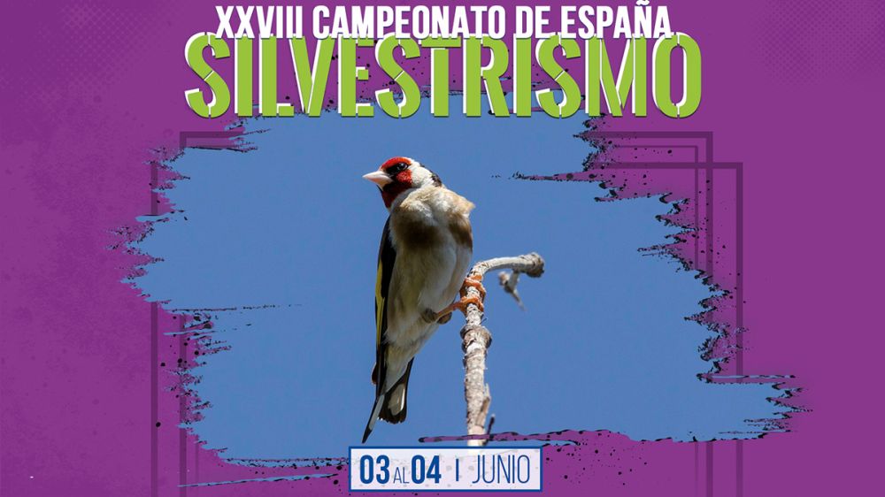 Alovera disfrutará del canto de más de 350 aves en el XXVIII Campeonato de España de Silvestrismo