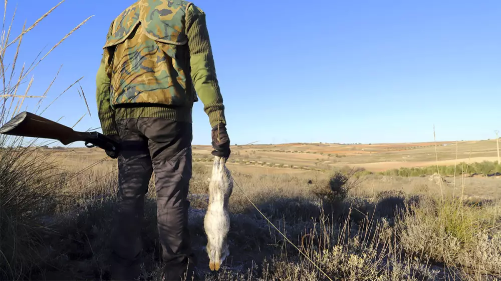  Pedro Muñoz contrata tres cazadores de conejo