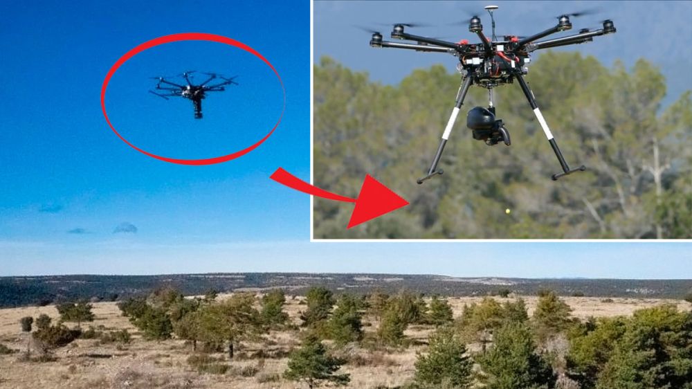 Una empresa palentina reforesta con drones los bosques españoles calcinados por las llamas