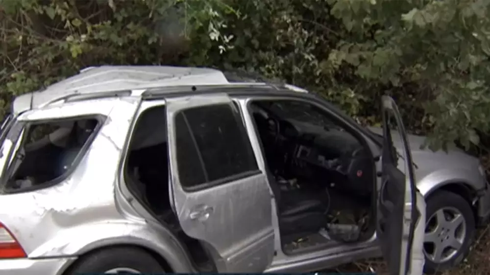 Varios galgos mueren en un choque de un vehículo que huía de la Guardia Civil