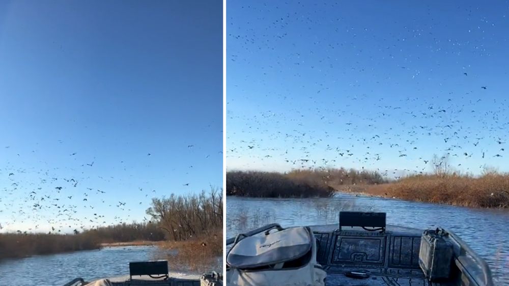 El paraíso de los patos existe y es este