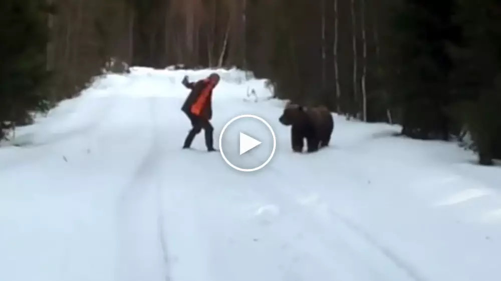 Impresionante vídeo de un oso que ataca a un hombre… y se asusta de sus gritos