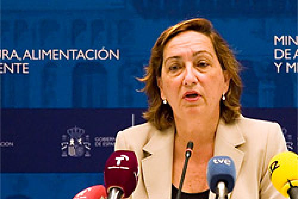 Castilla-La Mancha impulsa una licencia única de caza