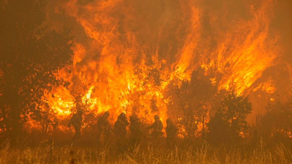 Estas son las devastadoras consecuencias y destrozos que está provocando el incendio en la Sierra de la Culebra