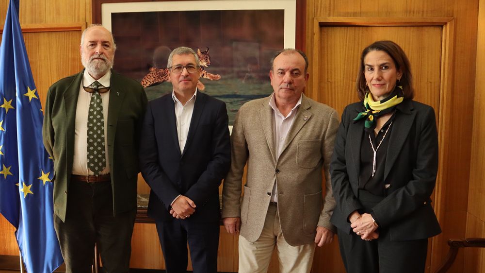 La Real Federación Española de Caza asegura una colaboración con el Ministerio de Transición Ecológica «en los temas de interés común»