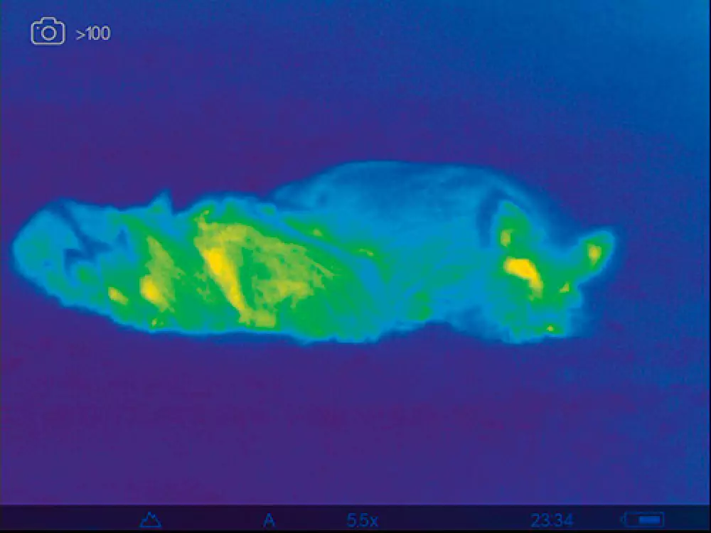 Monocular de visión térmica Axion