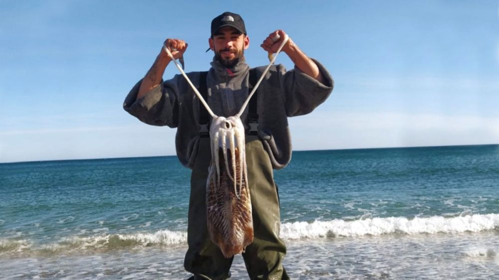 Pesca una impresionante sepia de 4,6 kilos