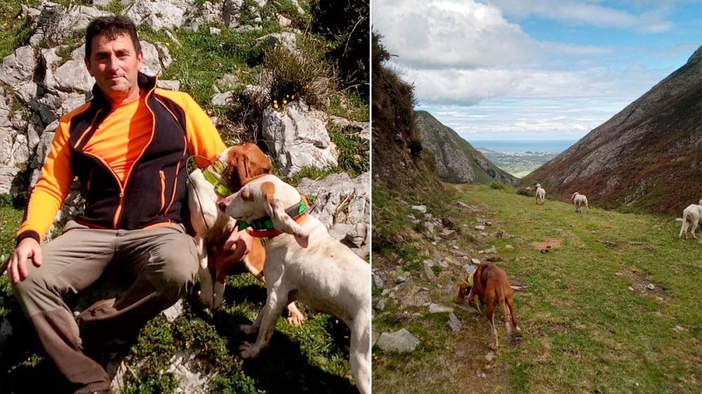 Un cazador asturiano y sus perros, a punto de ser atacados por una pareja de lobos