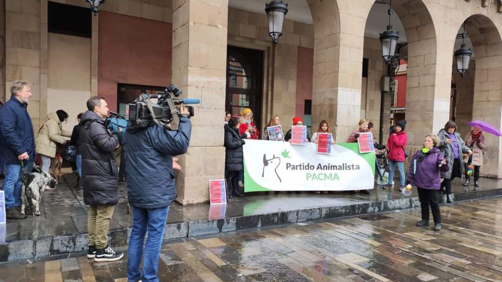 Nuevo ridículo del Pacma en unas pobrísimas manifestaciones para la no exclusión de los perros de caza en la ley animalista