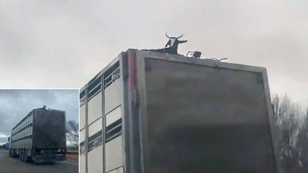 Un camión circula por una autovía con una cabra en el techo