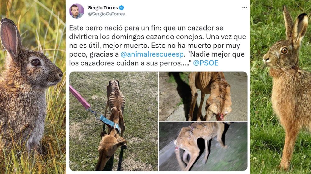 Sergio García Torres vuelve a hacer el ridículo intentando crear odio social contra los cazadores