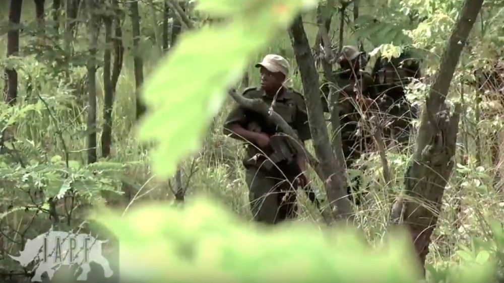 Mujeres contra los furtivos en Zimbabue