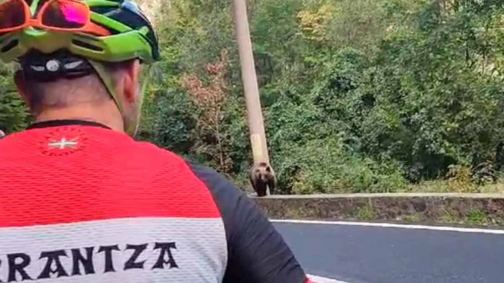 Tres ciclistas se protegen tras un vehículo al encontrarse con un oso en una carretera