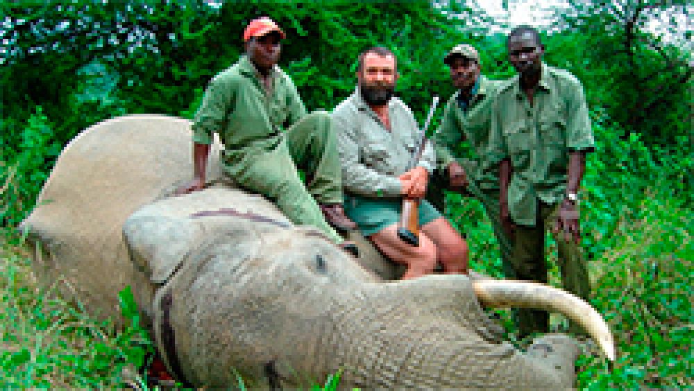 El dilema de África: ¿prohibir o permitir la caza?