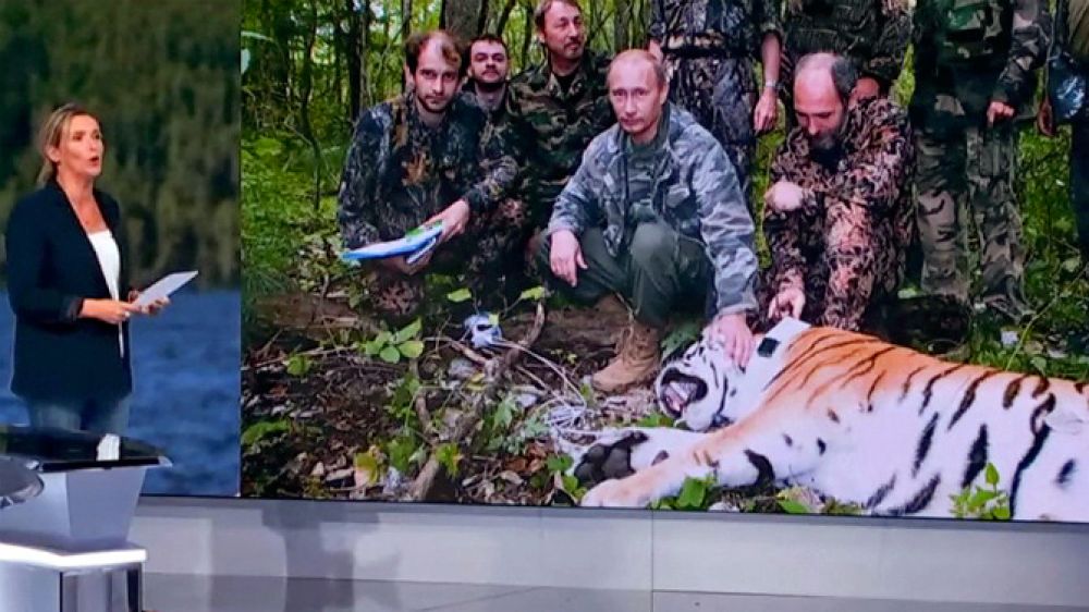 Un medio de comunicación francés culpa a Putin de cazar tigres