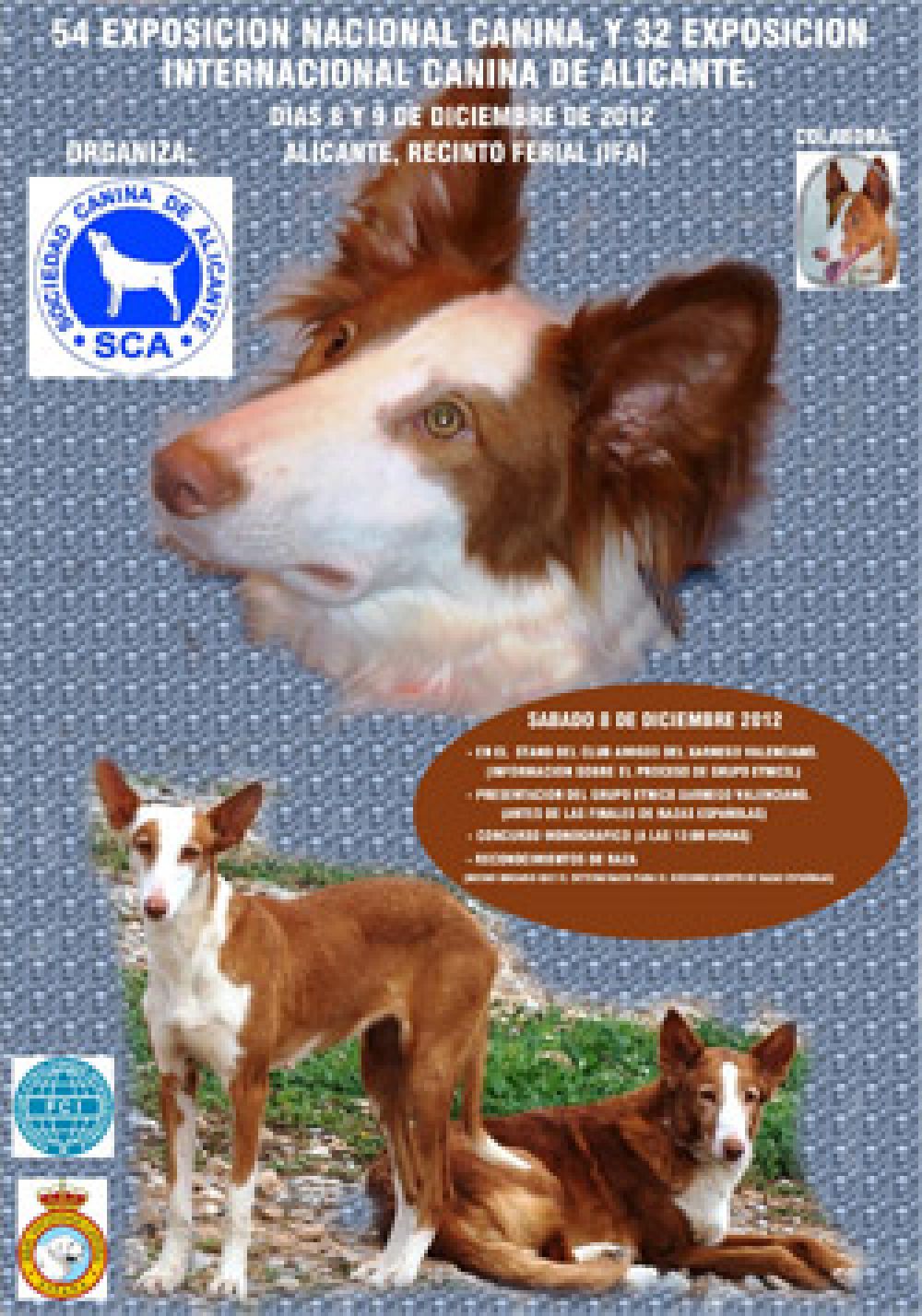 El Xarnego estará presente en la Exposición Internacional Canina
