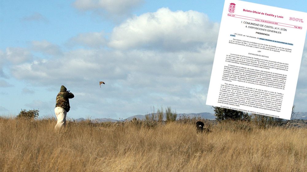Ya es oficial: licencias de caza, pesca y caza con galgo gratis en Castilla y León