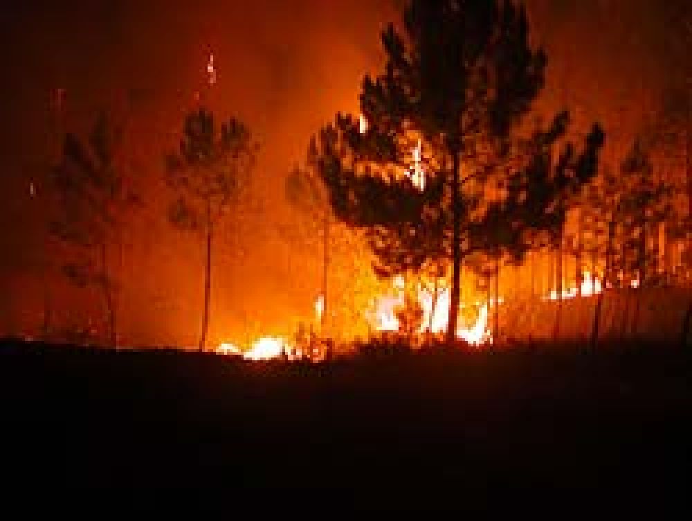IV Conferencia Internacional sobre Incendios Forestales