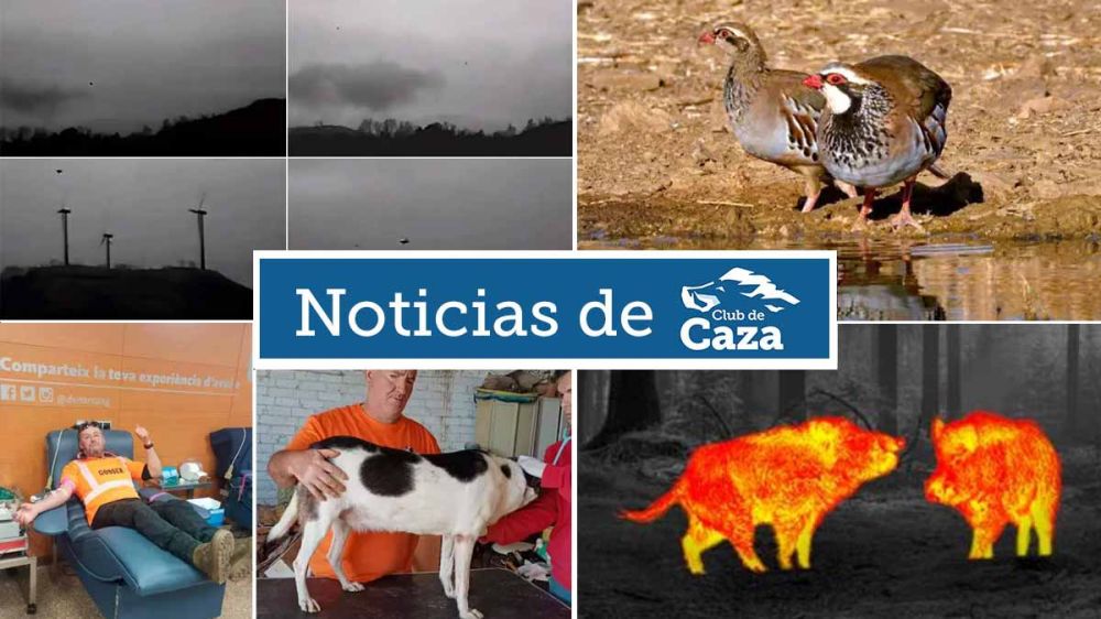 Noticias semanales con Club de Caza (27/10/23)