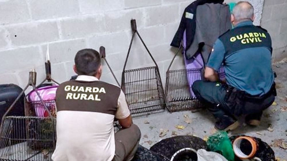 Condena a las agresiones de un presunto furtivo a un Guarda Rural en un coto de caza de Soria