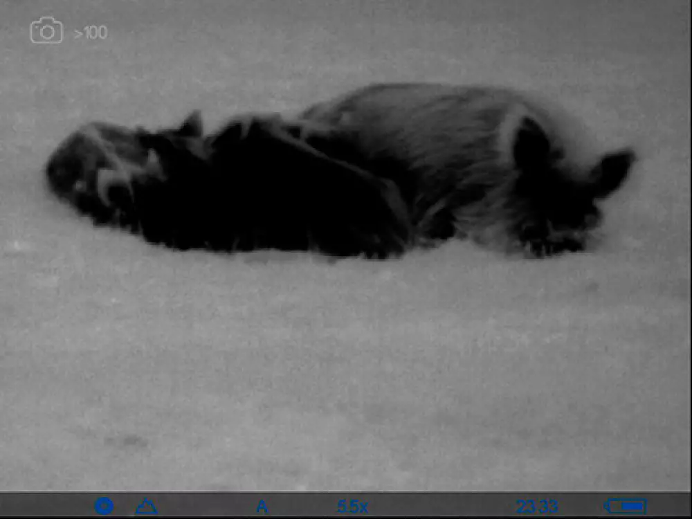 Monocular de visión térmica Axion