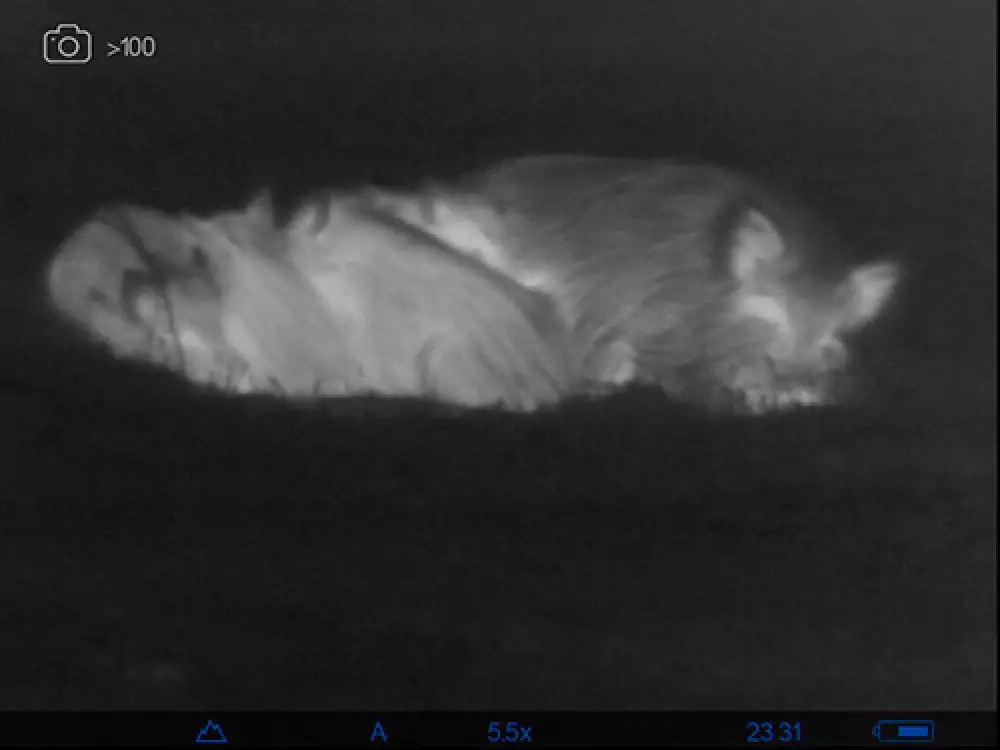 Monocular de visión térmica Axion