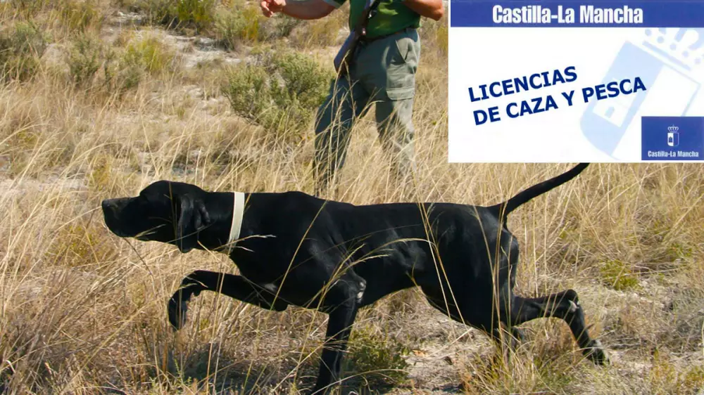 Ahora sí: los residentes de Castilla-La Mancha tendrán licencias de caza y pesca gratuitas en febrero