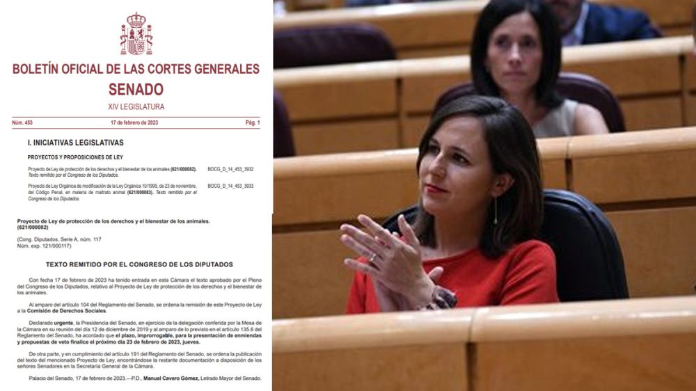 El Gobierno tramita de urgencia la ley animalista en el Senado: este es el texto que debatirán y votarán los senadores