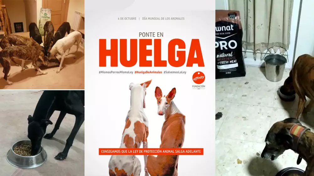 ‘Mi perro no come Affinity’, la campaña que muestra el boicot del mundo rural contra el fabricante de piensos