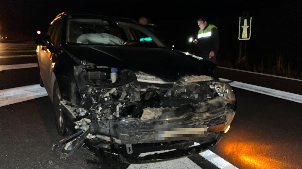 El presidente de la Diputación de Lugo pide controles de jabalíes tras sufrir un accidente de tráfico con uno