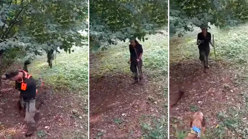 Una animalista acosa a un cazador en una batida de jabalíes