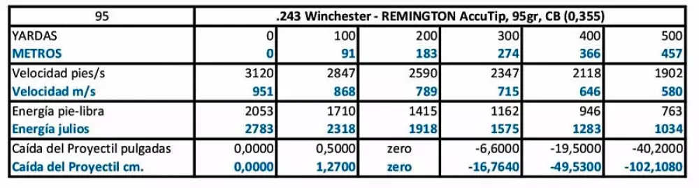   243 Winchester Remington ACCUTIP 95 grains