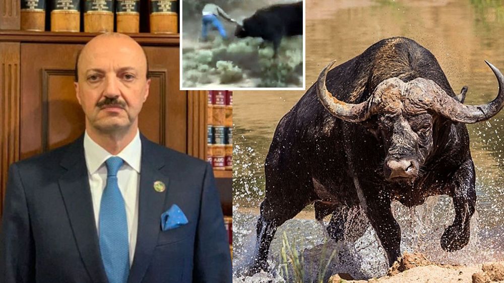 Publican un vídeo falso del momento en que un búfalo embiste y mata a un cazador mexicano