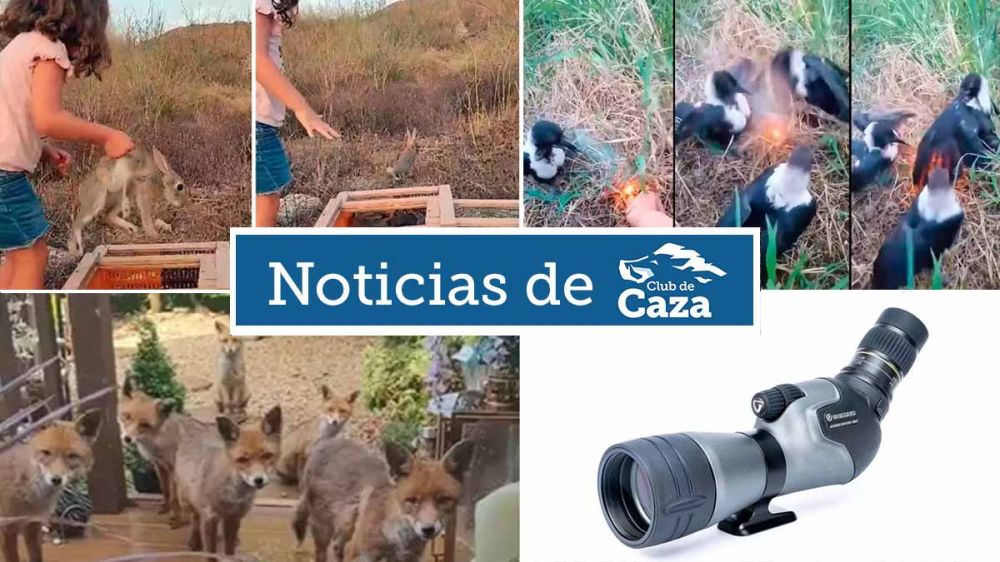 Noticias semanales con Club de Caza (25/08/23)
