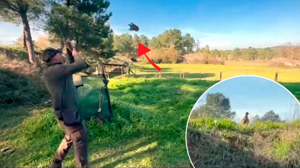 Un cazador intenta golpear a la perdiz con la escopeta tras fallar sus disparos