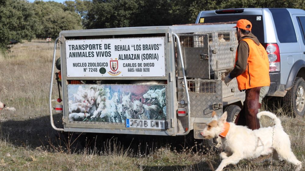 Plan de Contingencia para el transporte de los animales, la guía de ARRECAL para cumplir el nuevo requisito de la Administración