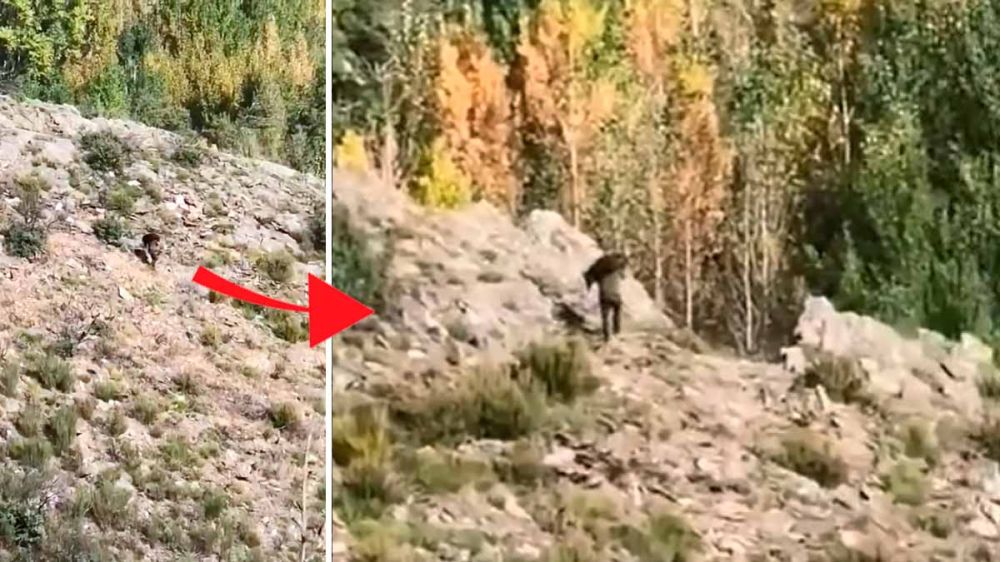 En vídeo: este cazador berciano saca un jabalí cargado sobre sus hombros del monte