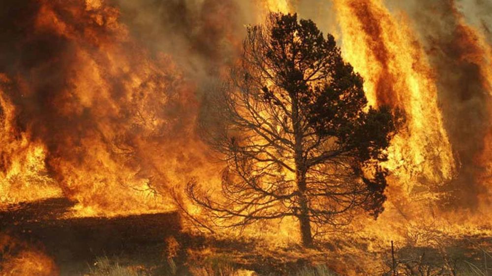 Las llamas devastan varios cotos asturianos