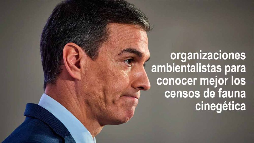 El PSOE promete en su programa electoral que contará con los ecologistas para realizar censos de especies cinegéticas