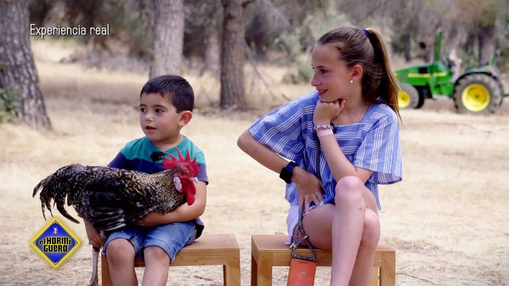 Los niños de ciudad saben cómo suena un ordenador, pero los de campo distinguen el canto de un estornino del de un arrendajo